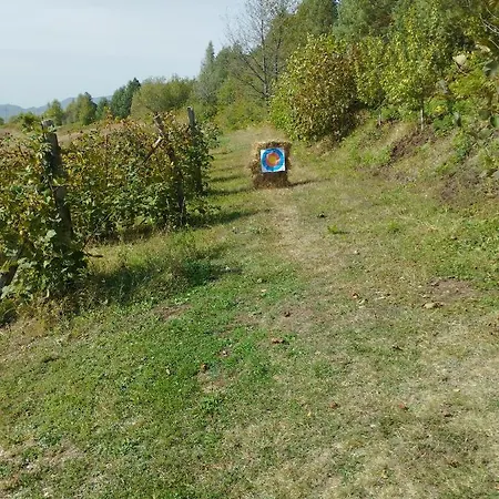 Brvnare Kusici Ivanjica