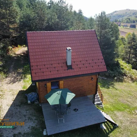 Brvnare Kusici Case de vacanță *