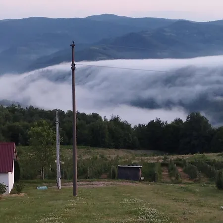 Brvnare Kusici Case de vacanță *