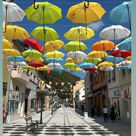 Dom wakacyjny Brvnare Kusici *