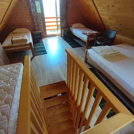 Case de vacanță Brvnare Kusici Ivanjica