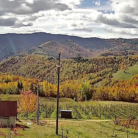 Brvnare Kusici Feriehus Ivanjica