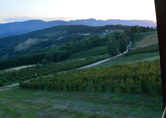 Brvnare Kusici * Ivanjica