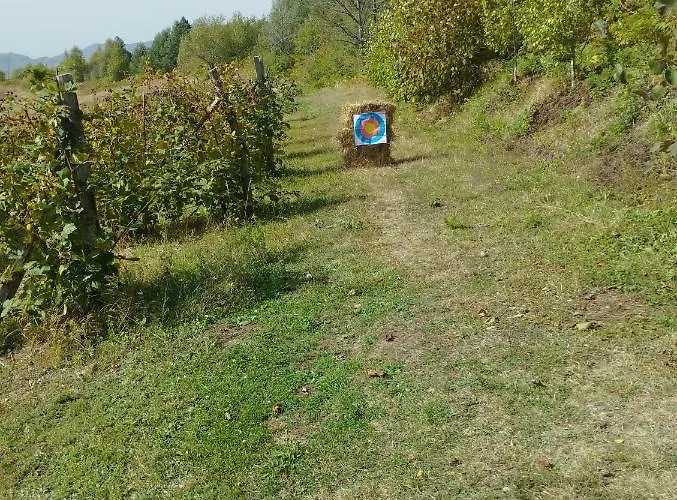 Brvnare Kusici Ivanjica