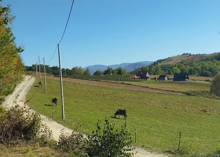 Vikendica Brvnare Kusici Ivanjica