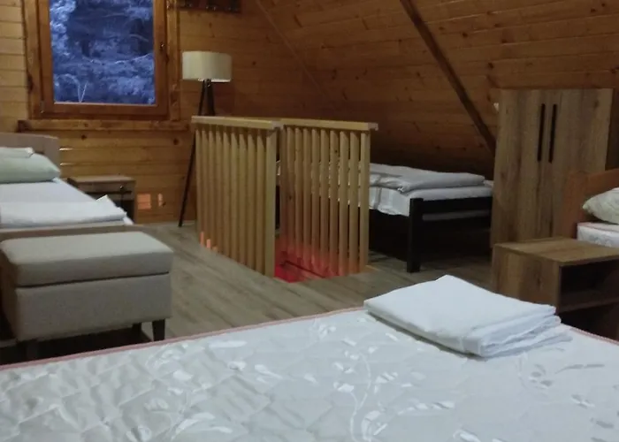 Brvnare Kusici Ivanjica