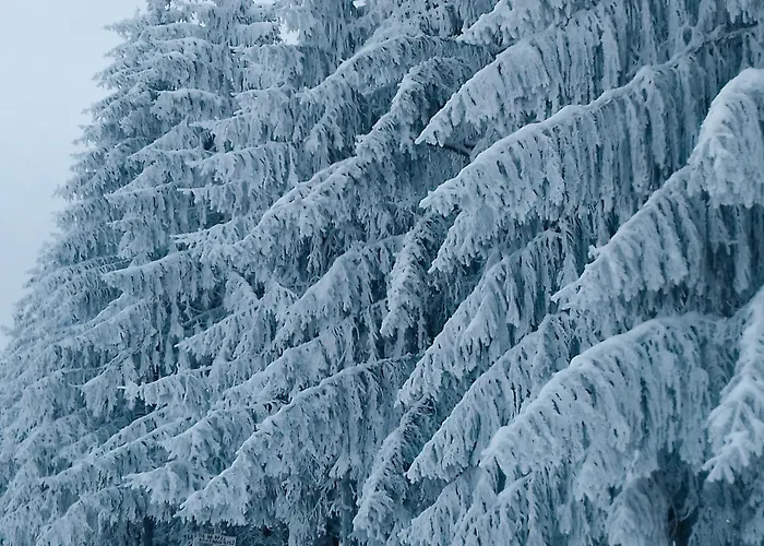 Vikendica Brvnare Kusici