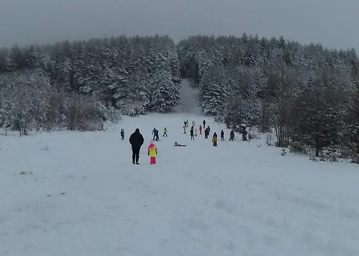 Brvnare Kusici Vikendica