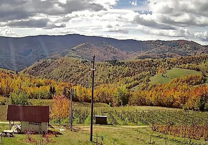 Brvnare Kusici Vikendica Ivanjica